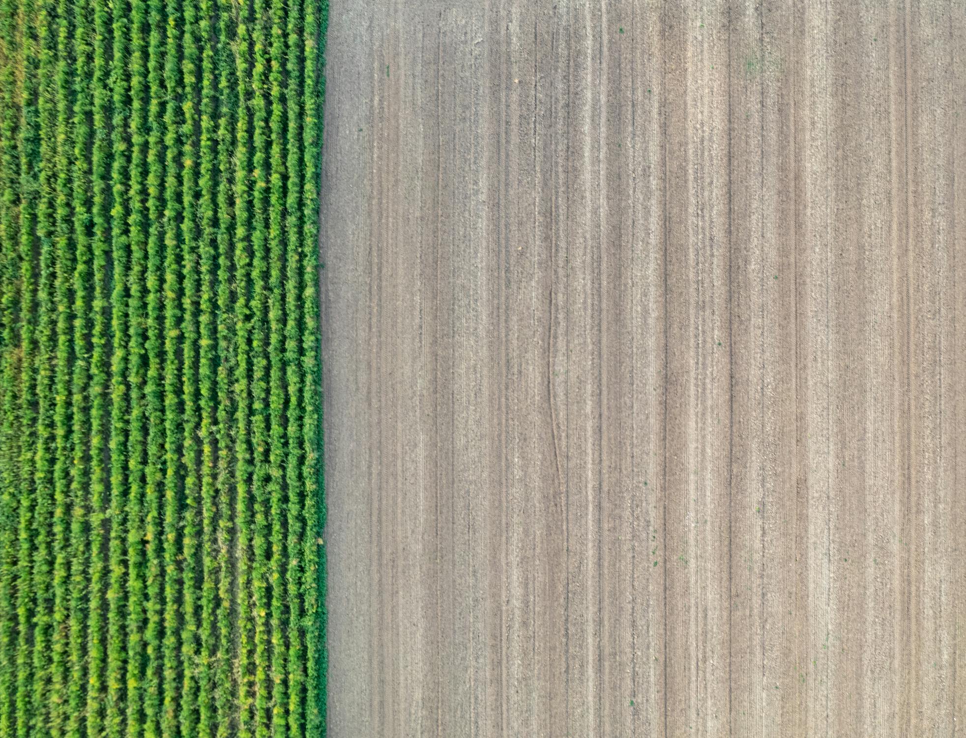 Decarbonizing Agriculture Part 1: Understanding Emissions Sources