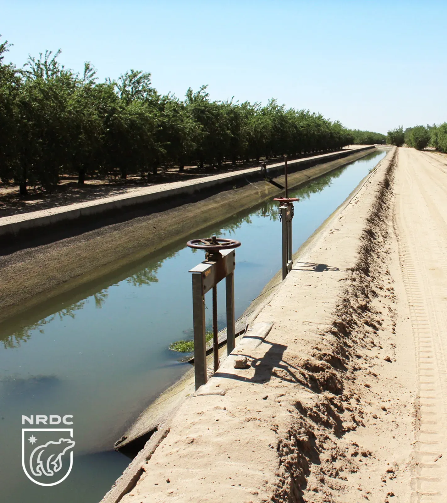 Irrigation canal delivering water to California farmland